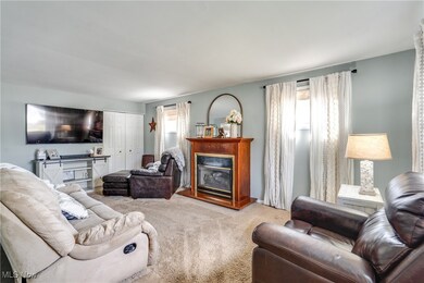 597 Herbert Rd, Akron, OH 44312 - photo 4