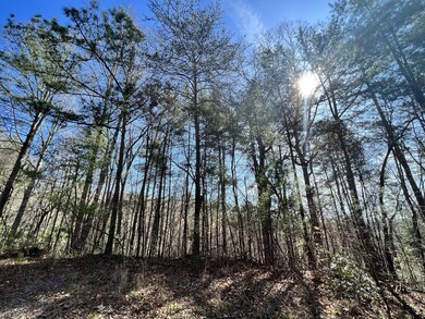 0 Indian Ln unit RTC2714807, Ellijay, GA 30540 - photo 2