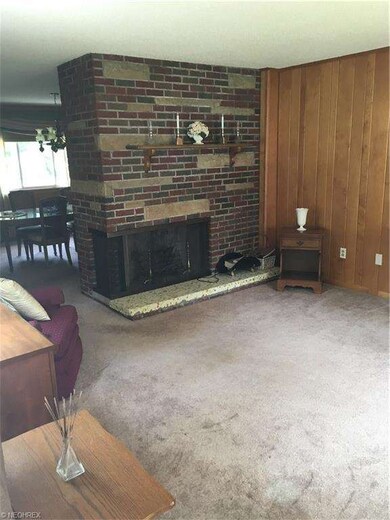 Living Room Fireplace
