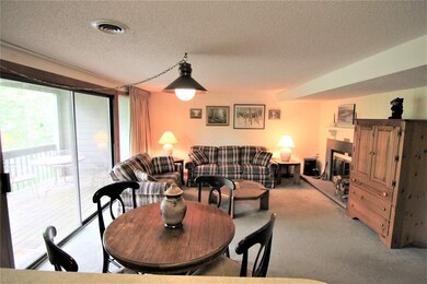 441 Three Ridges, Wintergreen Resort, VA 22967 - photo 7