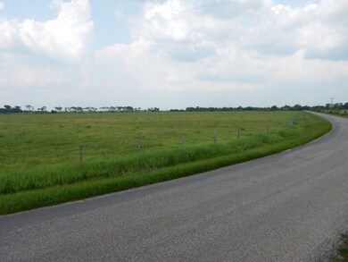 0 Cr 181 (Rm Cole Rd), Bay City, TX 77414 - photo 6
