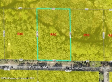 0 Grindstone Dr Lot 14, Webster, FL 33597 - photo 4