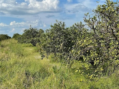 6876 5th Rd, Labelle, FL 33935 - photo 3