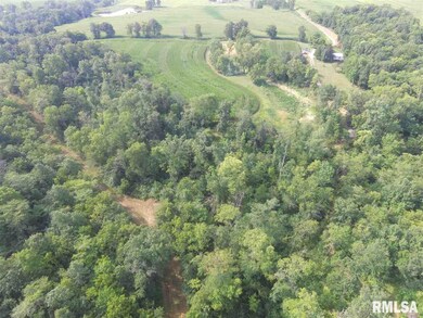 2282 Lone Rd, Ashland, IL 62612 - photo 2