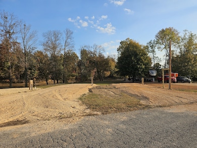 328 Duck Blind Rd, Clifton, TN 38425 - photo 6