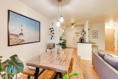 8700 Skokie Blvd unit 3PS, Skokie, IL 60077 - photo 6