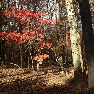 0 Scott Mountain Road Extension, Asheboro, NC 27205 - photo 7