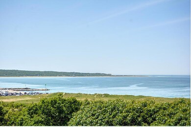 100 Beach Plum Ln, Chilmark, MA 02535 - photo 3