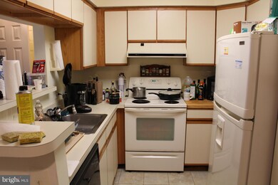 11701 Karbon Hill Ct unit 511A, Reston, VA 20191 - photo 7