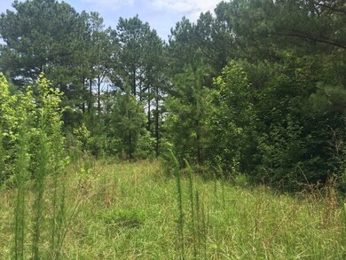 14523 Beckenridge Dr, Upatoi, GA 31829 - photo 3