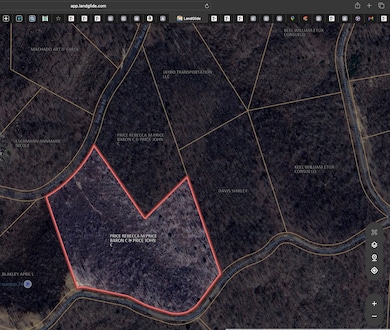 0 Rolling Hills Rd unit RTC3061232, Lobelville, TN 37097 - photo 4