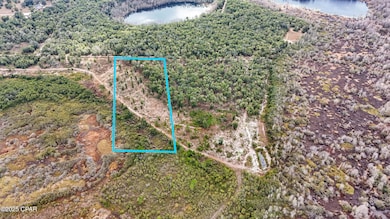 - Pine Log Rd, Chipley, FL 32428 - photo 4