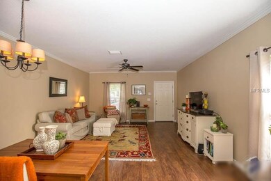 15907 Fishhawk View Dr, Lithia, FL 33547 - photo 6