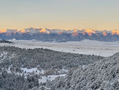 680 Ridge Rd, Westcliffe, CO 81252 - photo 3