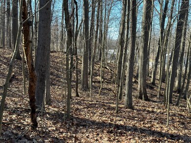 0 S 15th St, Niles, MI 49120 - photo 6