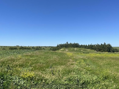 791 791 Rd, Central Loup City, NE 68853 - photo 7