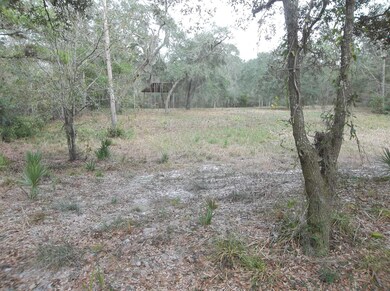 3035 Ten Rod Rd, Middleburg, FL 32068 - photo 3