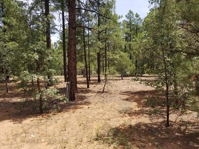 3950 Shaggy Bark Rd unit 333, Show Low, AZ 85901 - photo 2