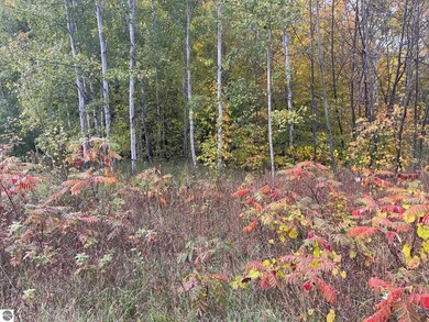 00 E Cherry Ln unit 174, Cedar, MI 49621 - photo 7