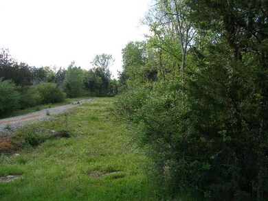 0 Verona Caney Rd unit 1632993, Chapel Hill, TN 37034 - photo 4