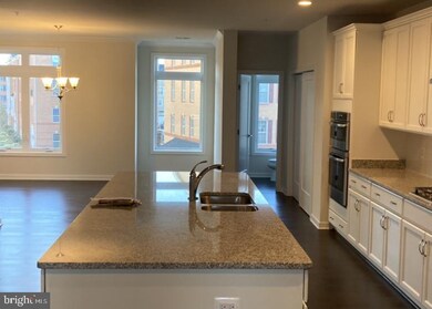 23677 Hopewell Manor Terrace unit 3410, Sterling, VA 20148 - photo 6