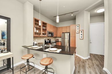 5455 Richmond Ave unit 2051, Houston, TX 77056 - photo 4