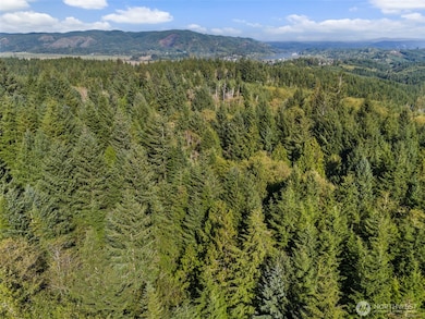 0 Rixon Rd unit NWM2443833, South Bend, WA 98586 - photo 7