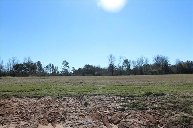 Lot 7 Zack Magee Rd, Franklinton, LA 70438 - photo 4