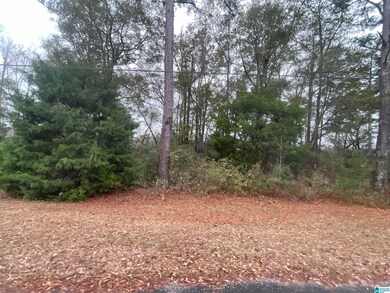 0 Friendship Cir unit 21438557, Clanton, AL 35045 - photo 3