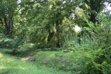 32 Mason Dr, Columbus, GA 31903 - photo 7