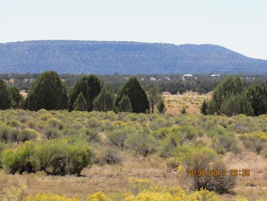 229 Juniperwood Ranch, Ash Fork, AZ 86320 - photo 3