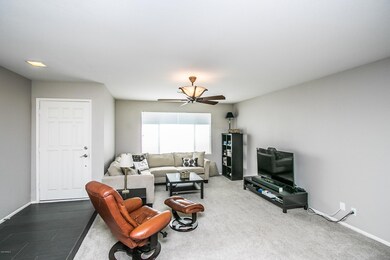 Palmcroft-4