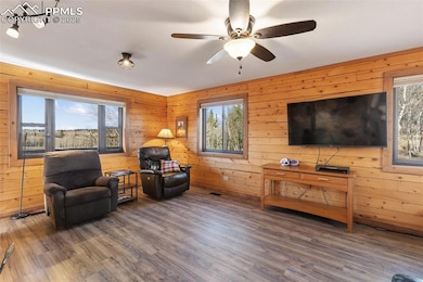 2387 Buffalo Ridge Rd, Como, CO 80432 - photo 6