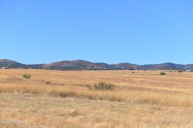 DSC_3022