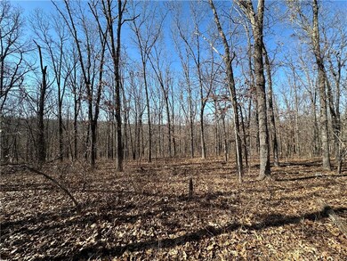 LOTS 3155,3156,3101 Rolfs Place, Union Township, MO 65326 - photo 5