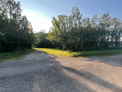 View of street with a forest view