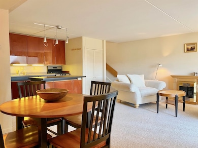 1309 Notchbrook Rd unit 1 CS, Stowe, VT 05672 - photo 4