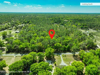 0 SW 95th St unit 2231203, Dunnellon, FL 34431 - photo 5