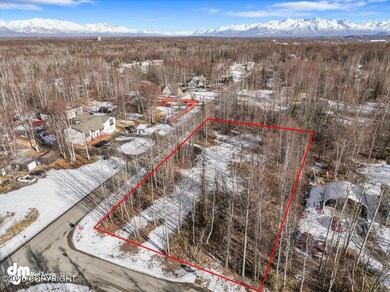 07-DJI_20250308143304_0046_D