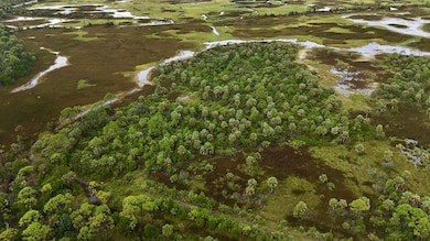 00 Beach Rd unit LotWP001, Perry, FL 32348 - photo 7