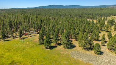 17707SkeenRanchRd-91