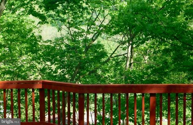 508 River Cliff Dr, Harpers Ferry, WV 25425 - photo 5