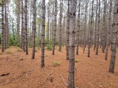 ON Cth B unit Lot 3, Antigo, WI 54424 - photo 4