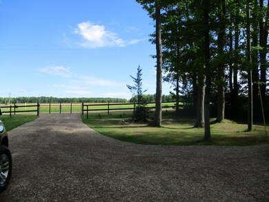 View Front yard
