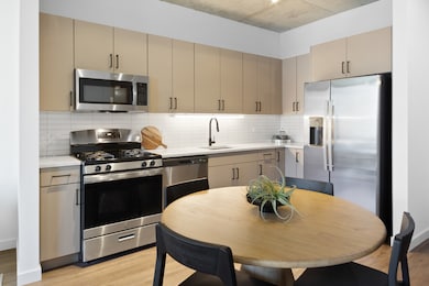 411 W Chicago Ave unit C806, Chicago, IL 60654 - photo 3