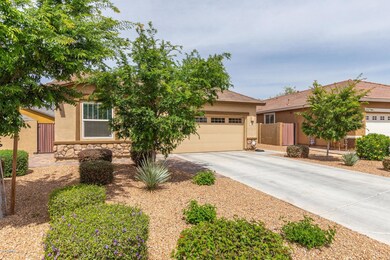 Low maintenance landscape