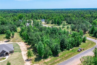 TBD Daniel Lee Ln, Texarkana, TX 75501 - photo 6