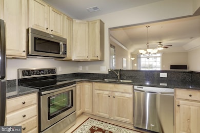 8611 Wintergreen Ct unit 301, Odenton, MD 21113 - photo 2