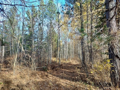 0 Burrows Lake Rd, Little Rice, WI 54487 - photo 4