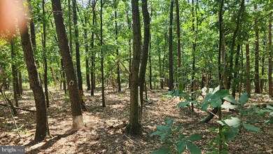 0 Pleasant Grove Rd unit PAFU2000954, Warfordsburg, PA 17267 - photo 3